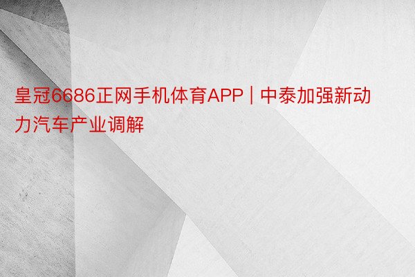 皇冠6686正网手机体育APP | 中泰加强新动力汽车产业调解