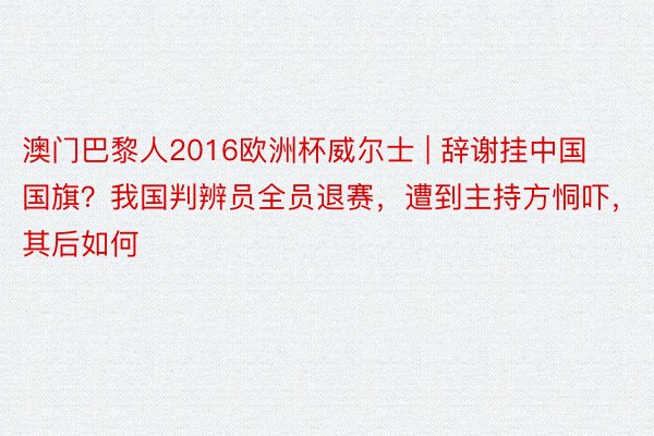 澳门巴黎人2016欧洲杯威尔士 | 辞谢挂中国国旗？我国判辨员全员退赛，遭到主持方恫吓，其后如何